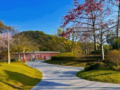 -云溪植物园
