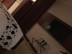 -上海千禧海鸥大酒店