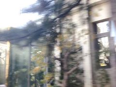 -大东方海鲜酒楼(小武基桥店)