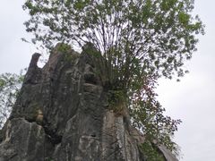 -玉石林风景区