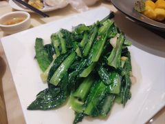 -锦粤宫·精致粤菜(深圳北站店)