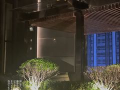 -四季酒店·空中花园 Aria on 9
