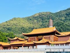 -深圳仙湖植物园