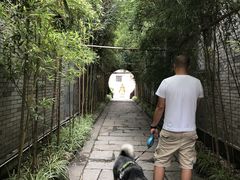 龙潭水乡-龙潭水乡