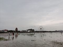 -奉贤海滩