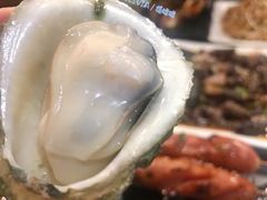 网红高压锅生蚝-土蚝·高压锅生蚝(百姓美食街店)