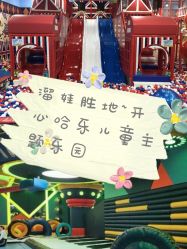 -开心哈乐儿童主题乐园(孙河易事达店)