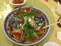 鱼头-湘潭九龙鱼头店(城南西路店)