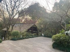 -杭州半山国家森林公园