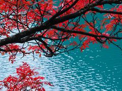 -叠溪松坪沟景区