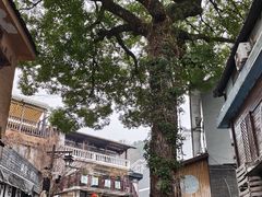 -杭州西湖风景名胜区-满觉陇四眼井