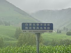 -老李家土菜馆·安吉地标美食