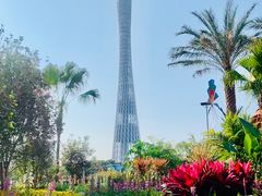 -海心沙亚运公园