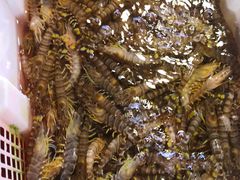 -芦潮港集贸市场