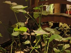 -邈墨茶馆(凤起路店)