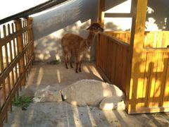 商户图片-瑞博尔花园酒店(太周创新产业园店)