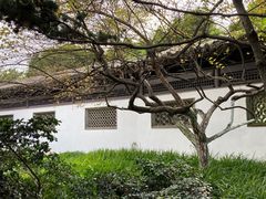 -月湖公园