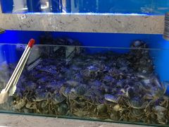 -一号码头蒸汽海鲜自助