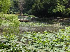 -棒棰岛宾馆景区