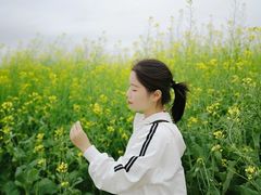 -光明小镇欢乐田园
