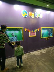 -恐龙探索乐园(磁器口店)