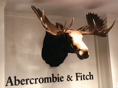 -Abercrombie & Fitch(三里屯太古里店)