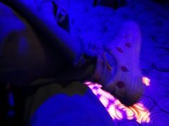 -金库世纪KTV(三乡店)