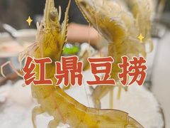 -红鼎豆捞·非遗鲍皇汤火锅(宝丰路店)