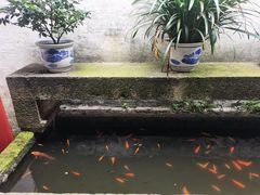 -绍兴鲁迅故里·沈园景区