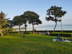 -深圳湾公园(南山区)