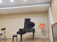 -珠江钢琴艺术中心(文一路店)