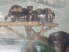 -棋盘山冰雪大世界
