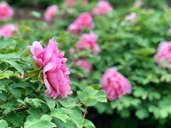 -江南大学(蠡湖校区)