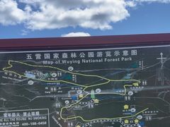 -五营红松林海景区