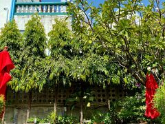景观位-Dash Teak House