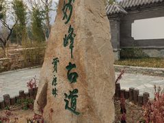 -阳台山自然风景区