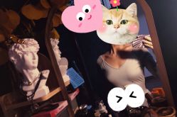 -德加芭蕾·舞蹈培训