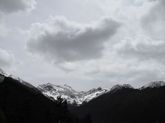 -黄龙山原始森林景区