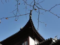 -上海白云观