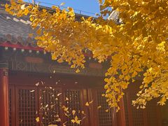 -承恩寺