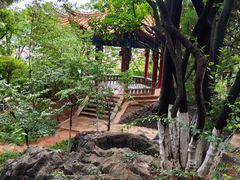 -昆明动物园