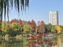 -新虹桥中心花园