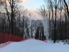 -中旅松花湖滑雪场