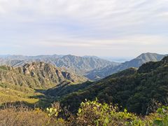 -大岭沟猕猴桃谷风景区