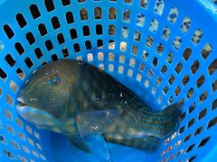 -顺德了能馆(虎门店)