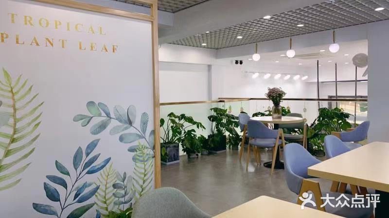 春天里的第一杯奶茶 小气茶