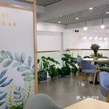 春天里的第一杯奶茶 小气茶