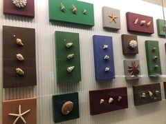 -青岛贝壳博物馆
