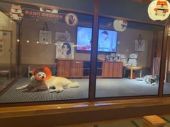 -大江户·温泉洗浴(浑南店)