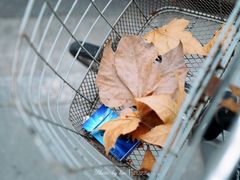 -NIKE LAB X158(新乐路店)